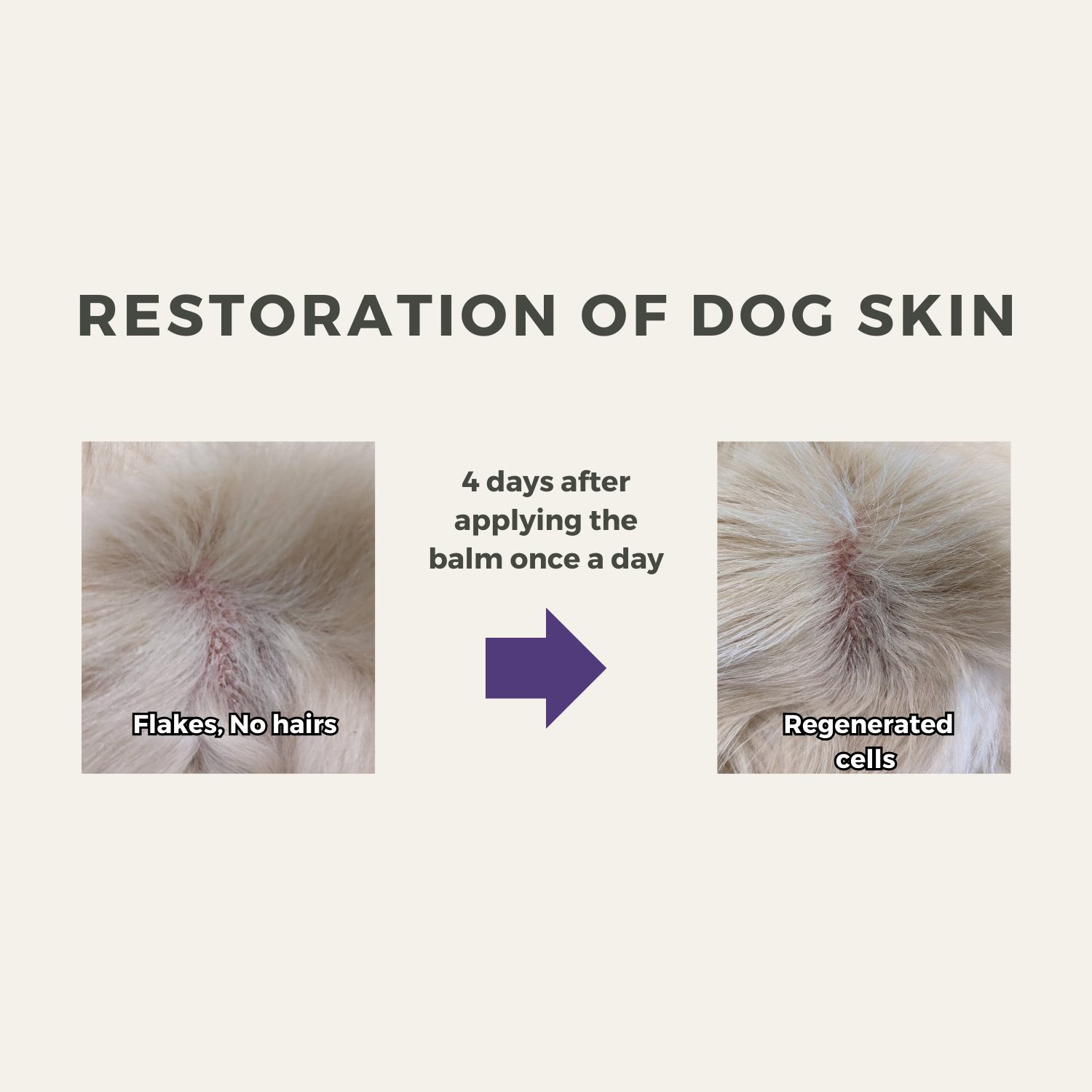 Coat Care Set | Dog Coat Care Set | Onedogful