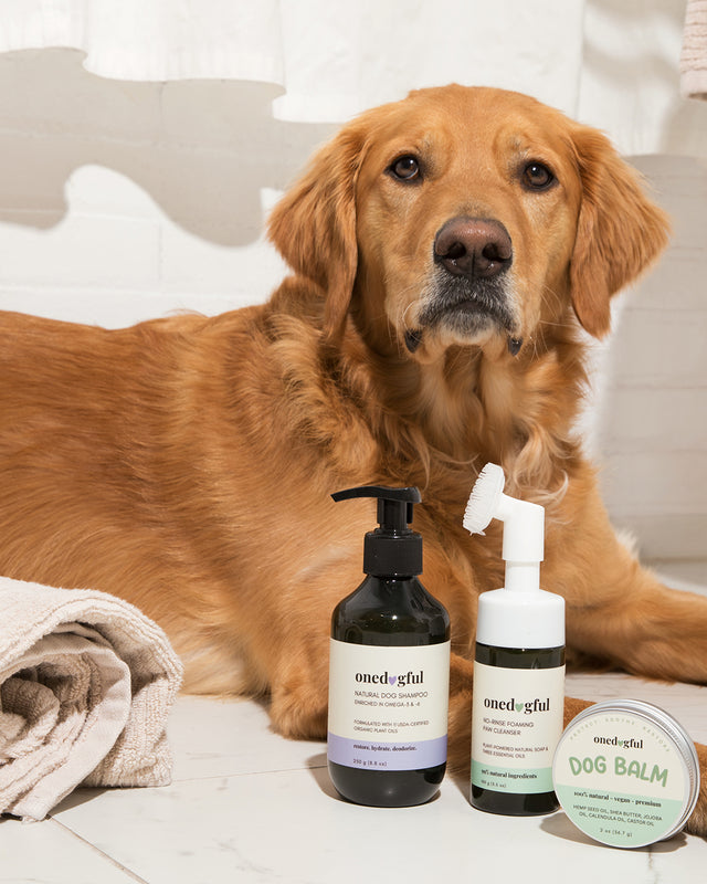 Dog Care Products